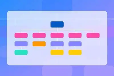organization